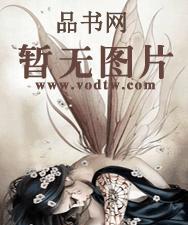 征服美女董事长