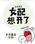 浣熊市普通警察的奇妙冒险