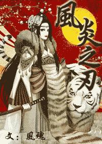 〖十二国拼图〗风炎之刃