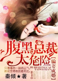 骗妻成婚，腹黑老公太危险（总裁文）